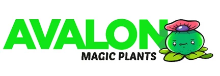Avalon Magic Plants Rabattcode Influencer