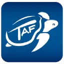 TAF Case Rabattcodes und Gutscheine
